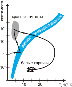 Эволюция звезды на диаграмме «температура-светимость» 1